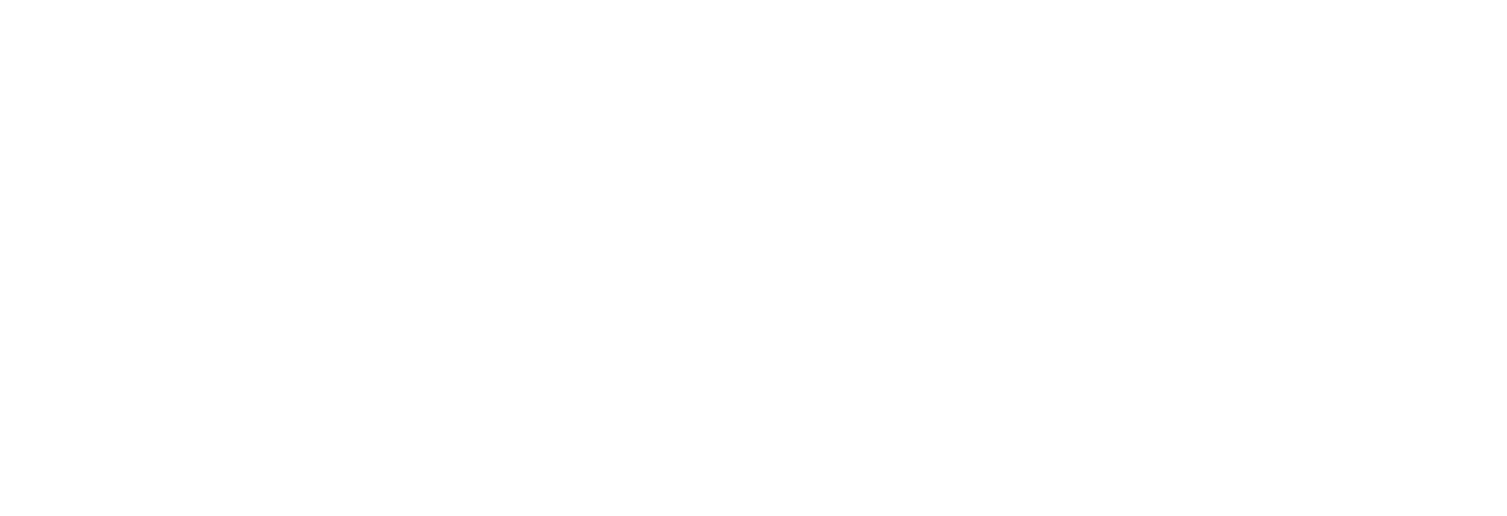 dda_logo_2024_weiss
